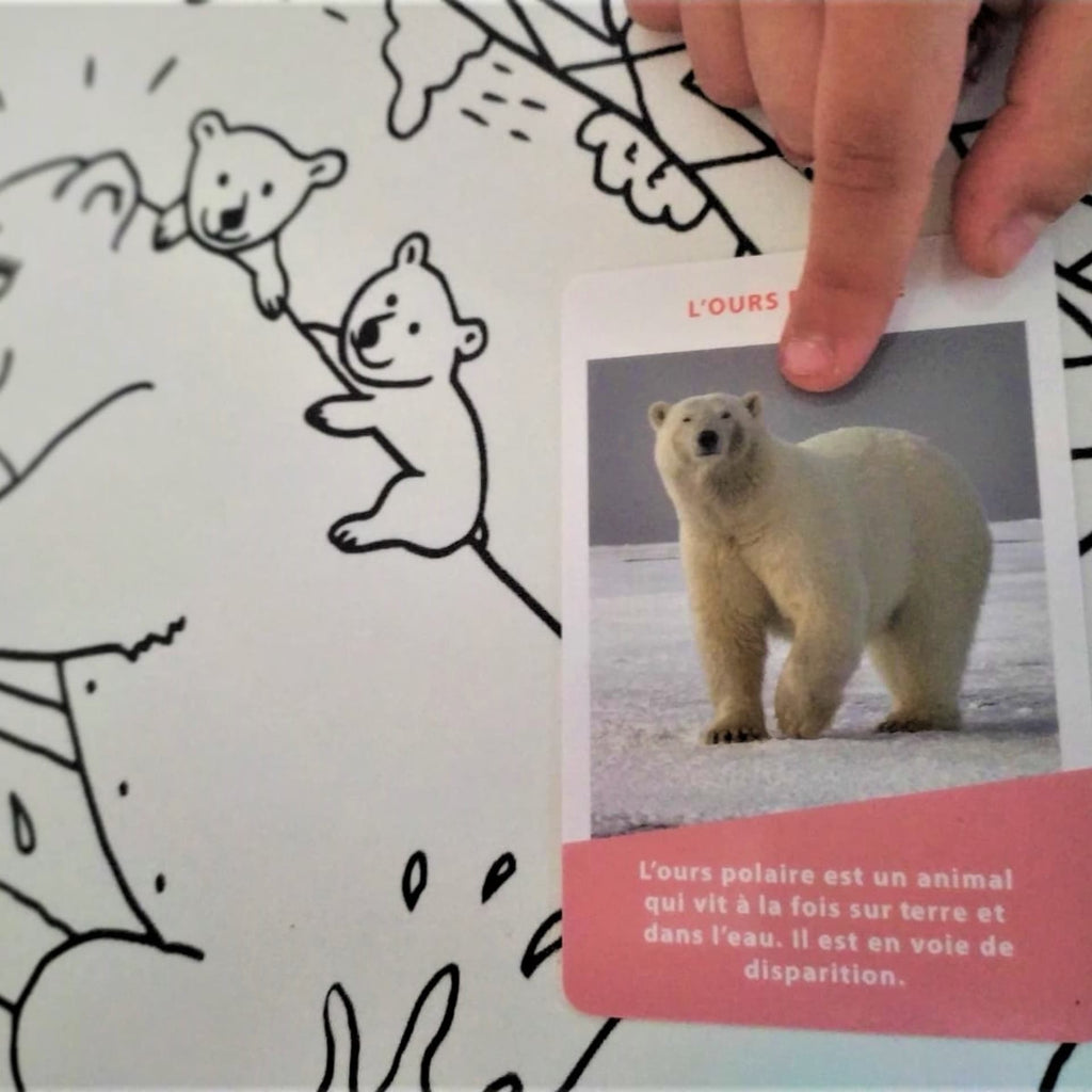 Carte représentant un ours polaire posée sur à côté du dessin d'un ours sur une coloritable